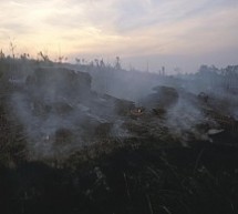 Local farmers blamed over most fires in East Kalimantan