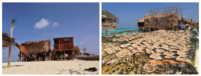 Pic- left: sea gypsies built stilt house because Mantabuan are inundated during high tide.   Pic- right : salted fish, species of Pisang-Pisang, Ketambak, Lapih, Belais, Bayan and Ikan Batu are easy target for bombing, it is a reef fish and they can be found in shoal and school. 